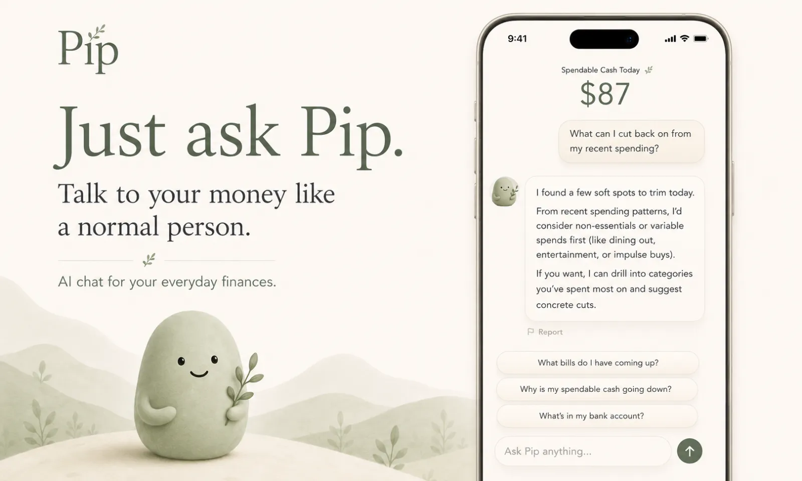 Screenshot of Pip