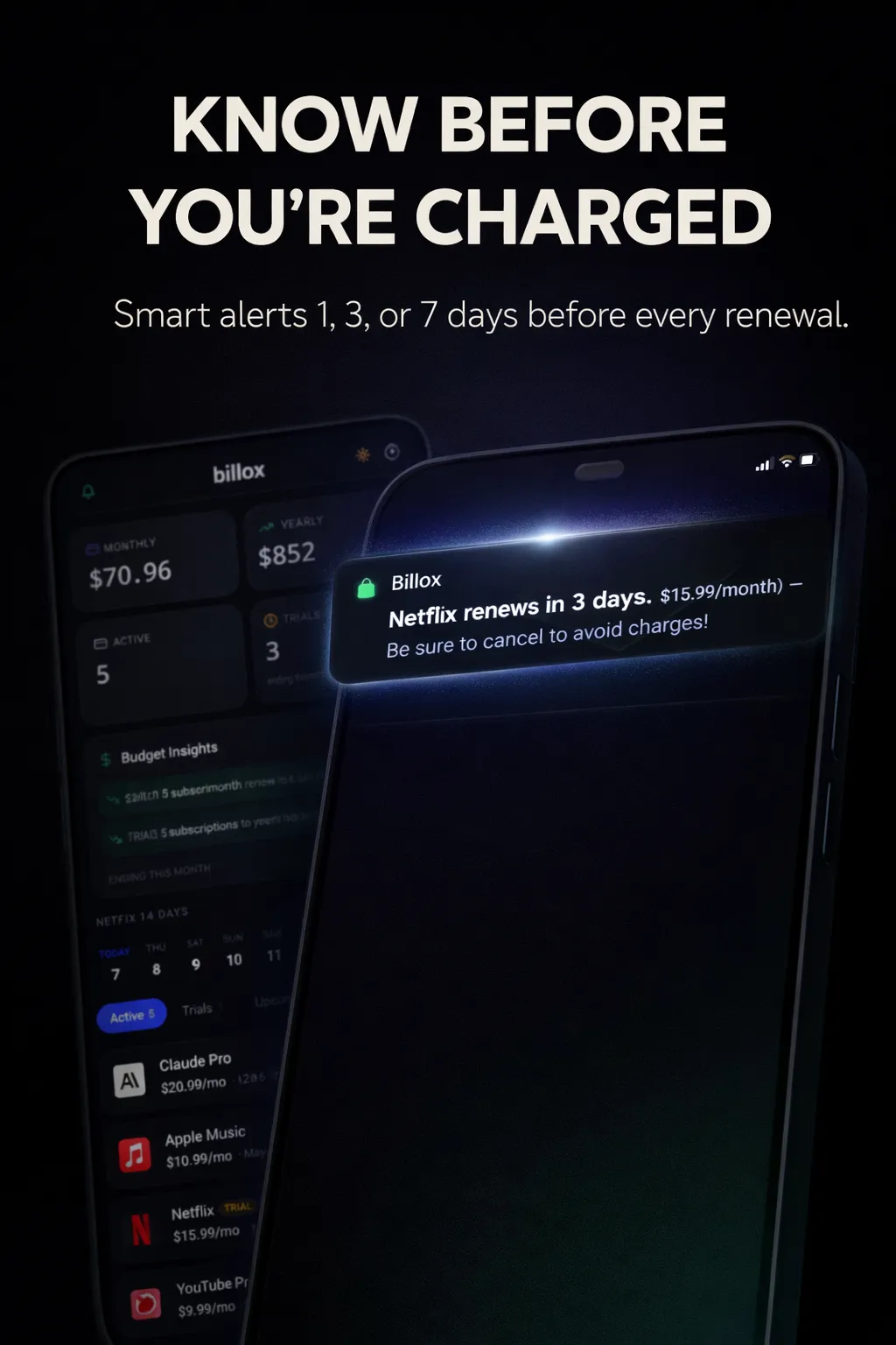 Screenshot of Billox