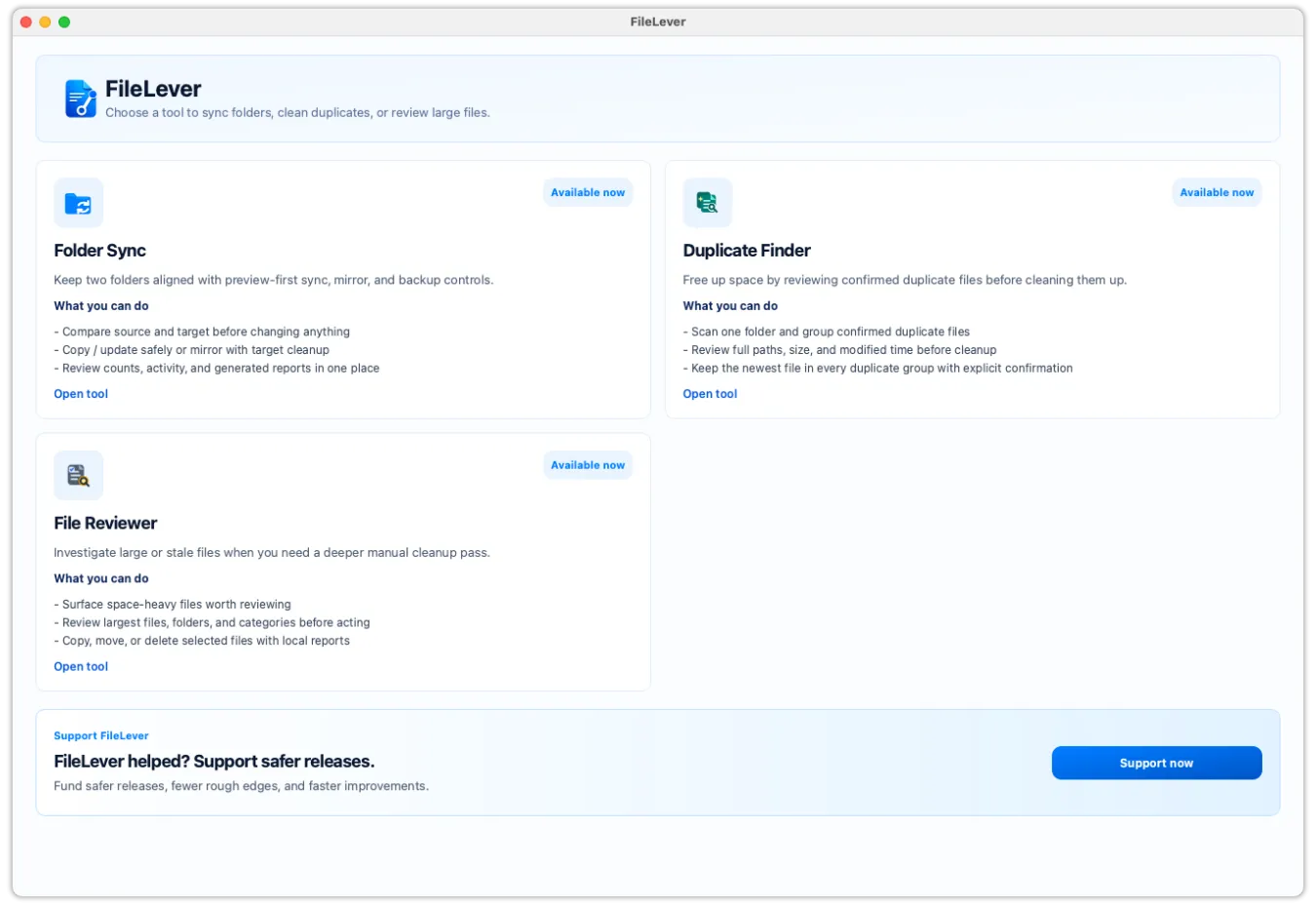 Screenshot of FileLever