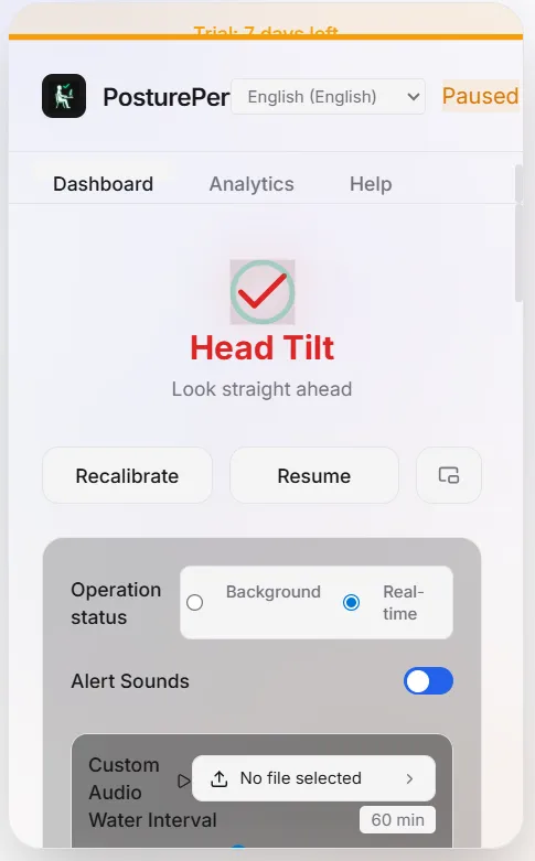 Screenshot of PosturePerfect | Your AI Posture Coach