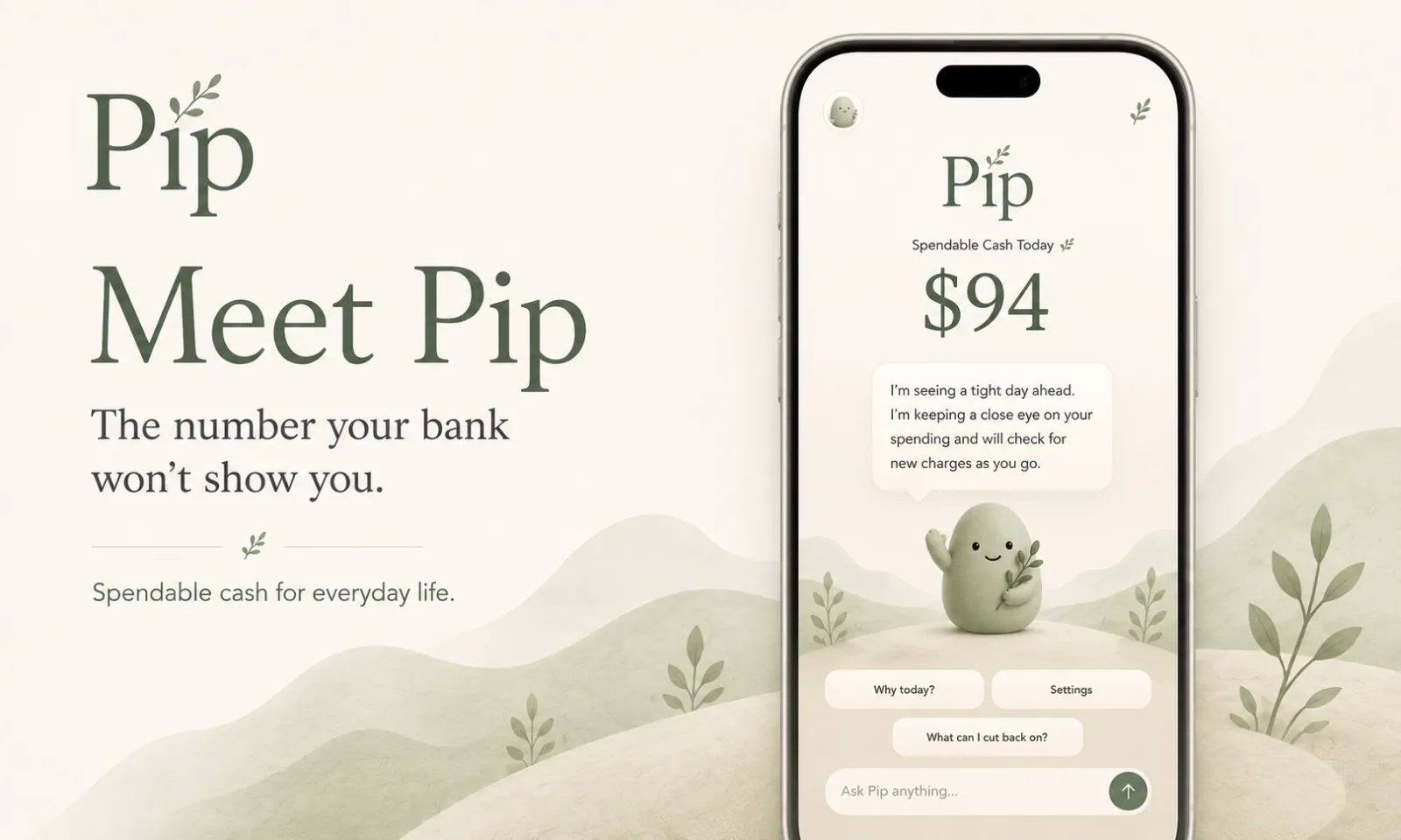 Screenshot of Pip