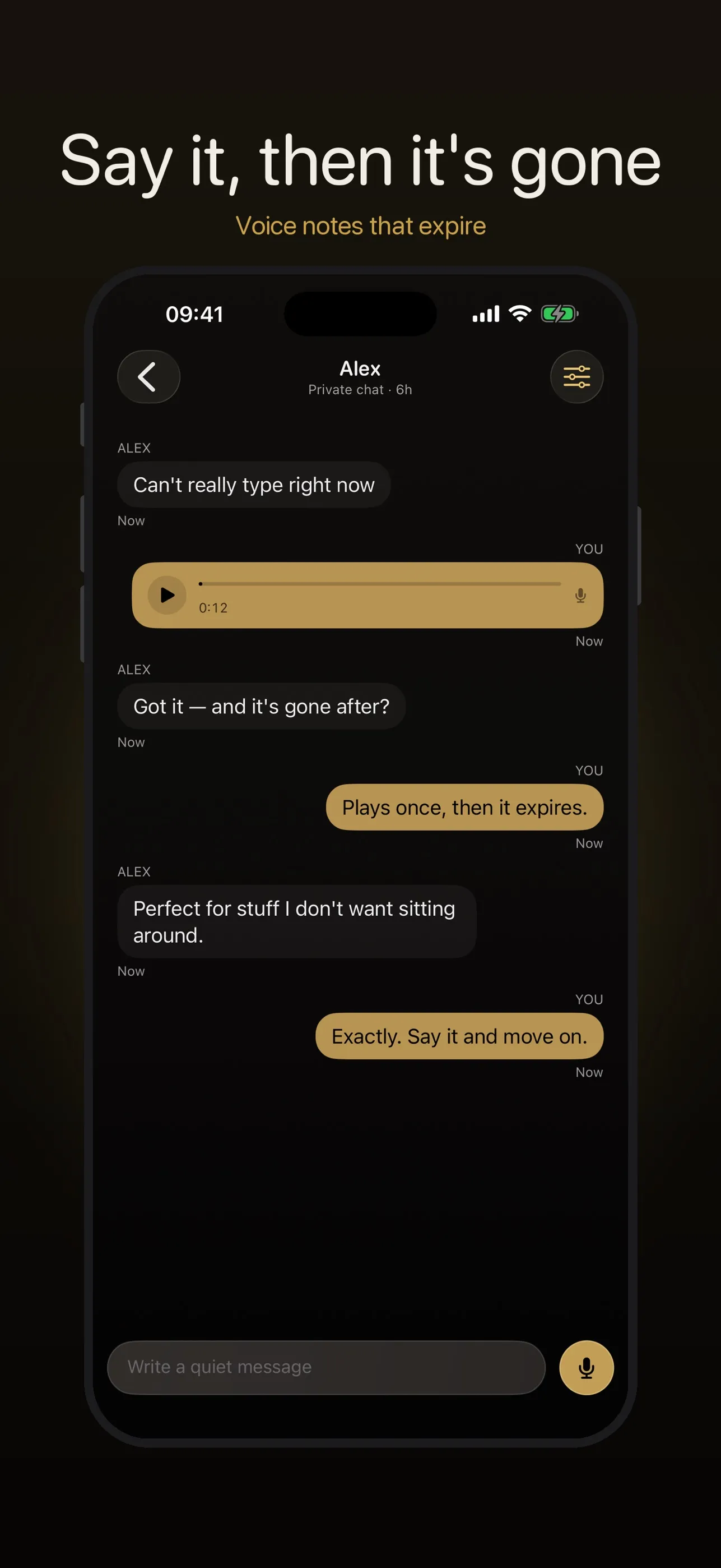 Screenshot of Obscyra — Live Private iOS Messenger