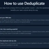 CleanDupTool