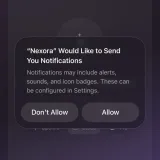 Nexora AI