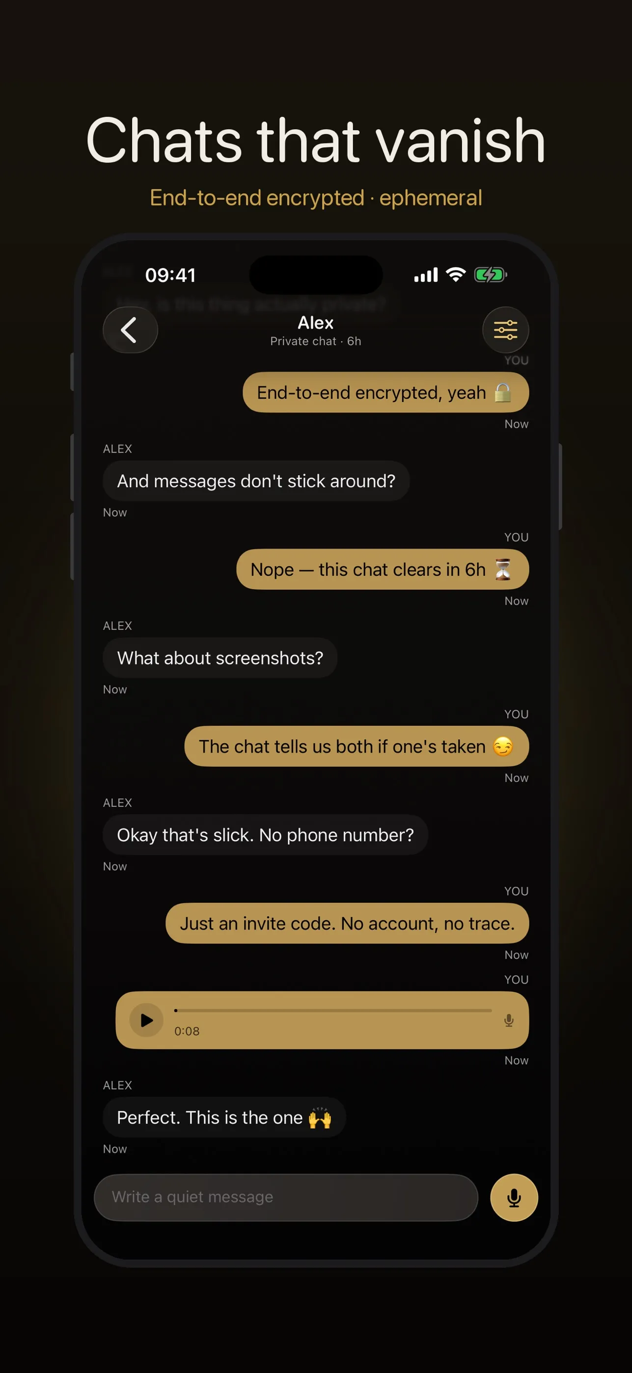 Screenshot of Obscyra — Live Private iOS Messenger